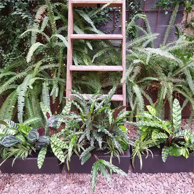 Jardineria terrazas barcelona