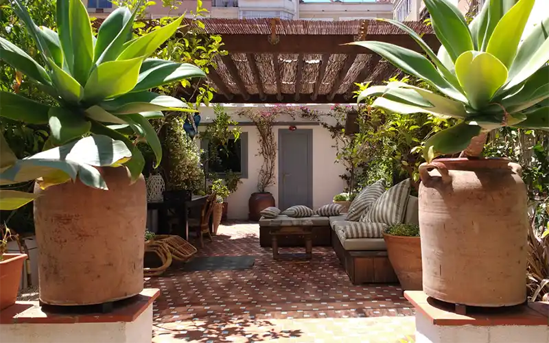 Terrace garden project in Barcelona