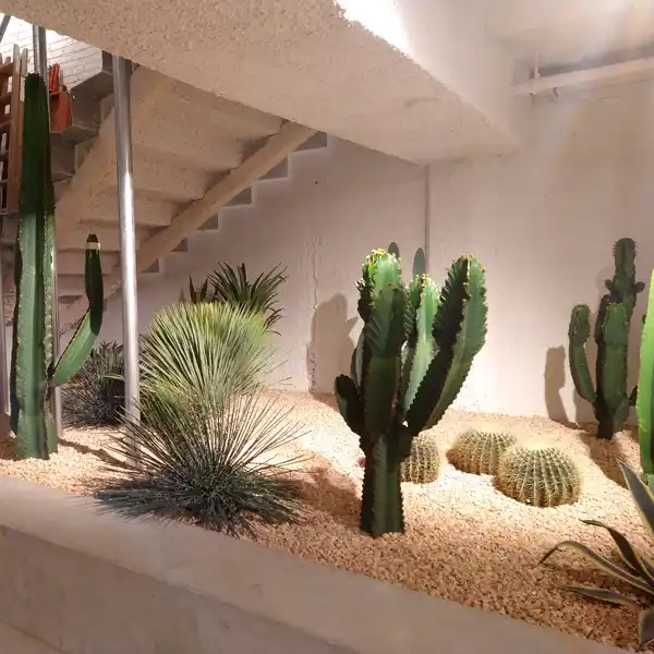 Plants para tiendas carhartt