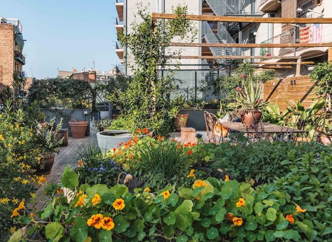 Hotel Brummel, Barcelona. Servicios profesionales de jardinería y huertos urbanos para hoteles, Huertocity