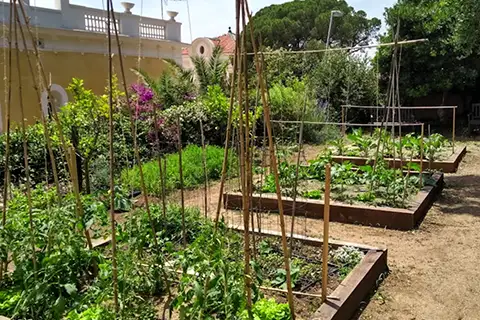 Instalación de huerto urbano