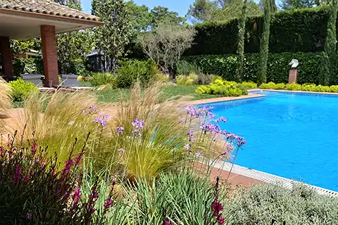 Diseño de jardín y paisajismo