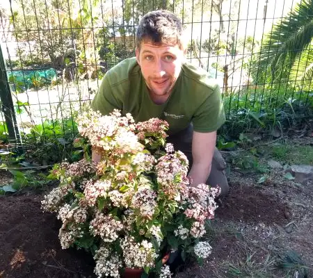 Chris Nolan, jardinero inglés en Barcelona