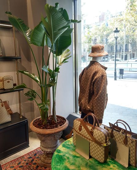 Gucci tienda 3 02