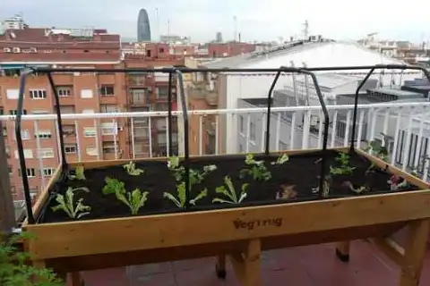 Huerto elevado Vegtrug instalado