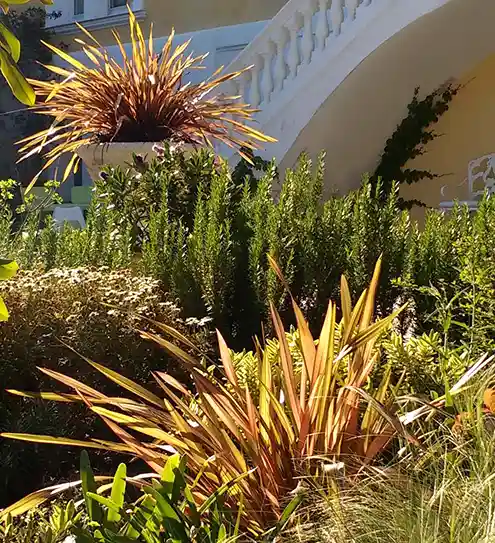 Jardinero de Huertocity plantando en un parterre en Barcelona
