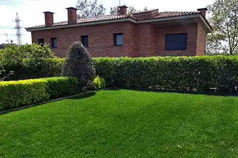 Mantenimiento de jardín