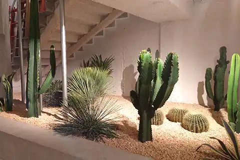 Plantas de interior en una tienda