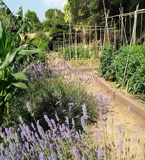 Jardín frondoso con plantas de sombra y camino de grava diseñado por Huertocity en Barcelona