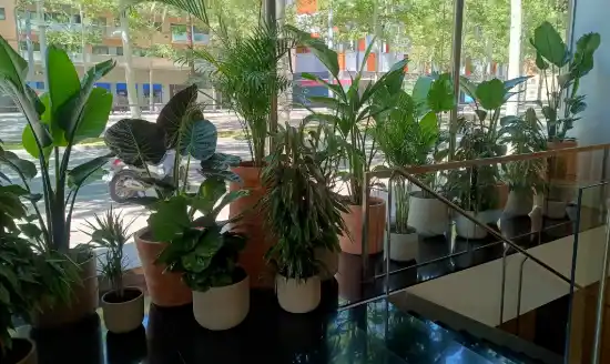 El vestibulo del Hotel Sheraton
