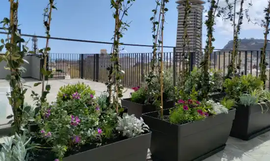 Terraza de un aparthotel en Barcelona