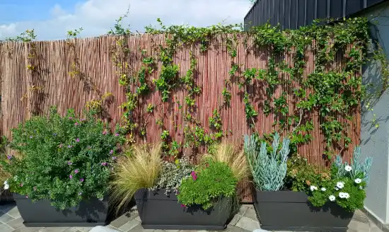 Terraza de un aparthotel en Barcelona