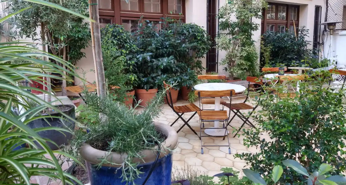 Jardineria para terrazas de bares y restaurantes en Barcelona, para crear un ambiente relajante para sus clientes.