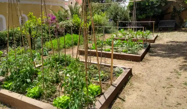 Diseño e instalación de huertos urbanos en Barcelona