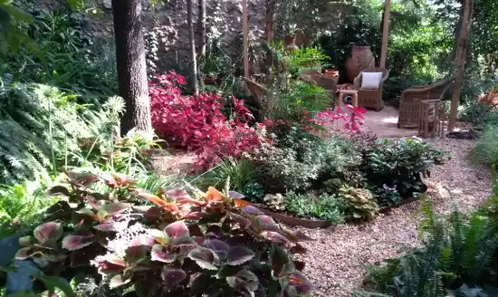 Diseño de jardines - evolución de proyectos
