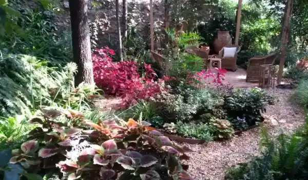 Diseño de jardines en Barcelona y sus alrededores