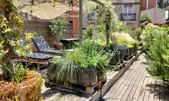 Evolución de la terraza en Hotel Brummel