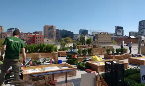 Green thumb - huerto urbano para un anuncio