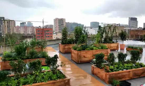 Green thumb - huerto urbano para un anuncio