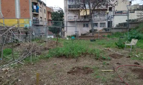 Un huerto escolar en Badalona