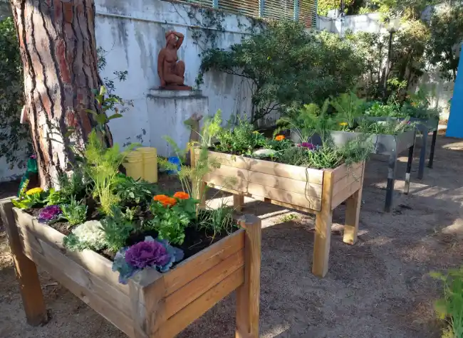 Huertos urbanos en escuelas
