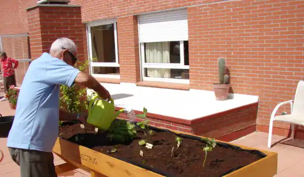 Huertos urbanos en residencias del tercer edad