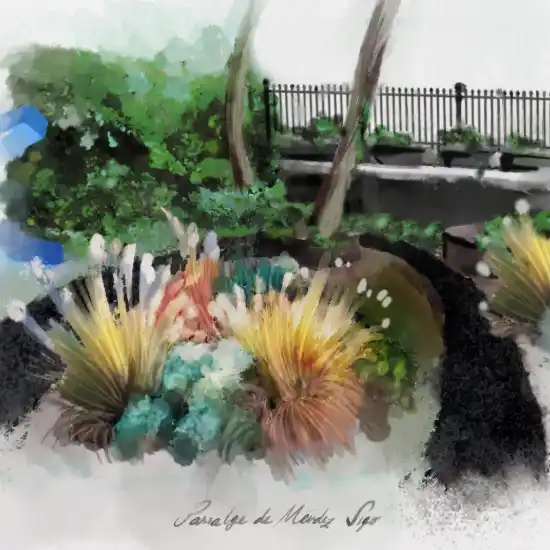 La renovacíon de un jardín en pleno Barcelona