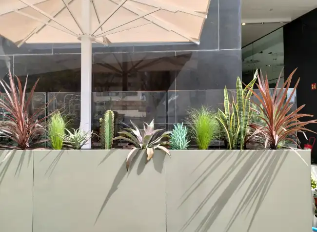 Jardineria para cafeterias y bares
