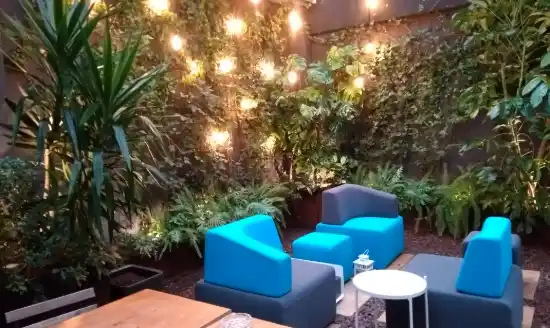 Mantenimiento de plantas en oficinas