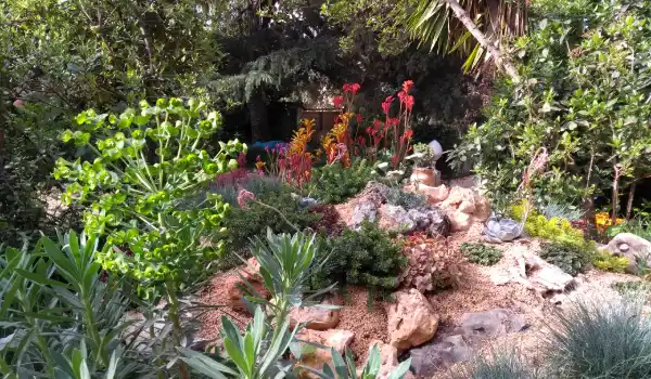 Huertocity - evolucion de proyectos de jardinería y huertos urbanos