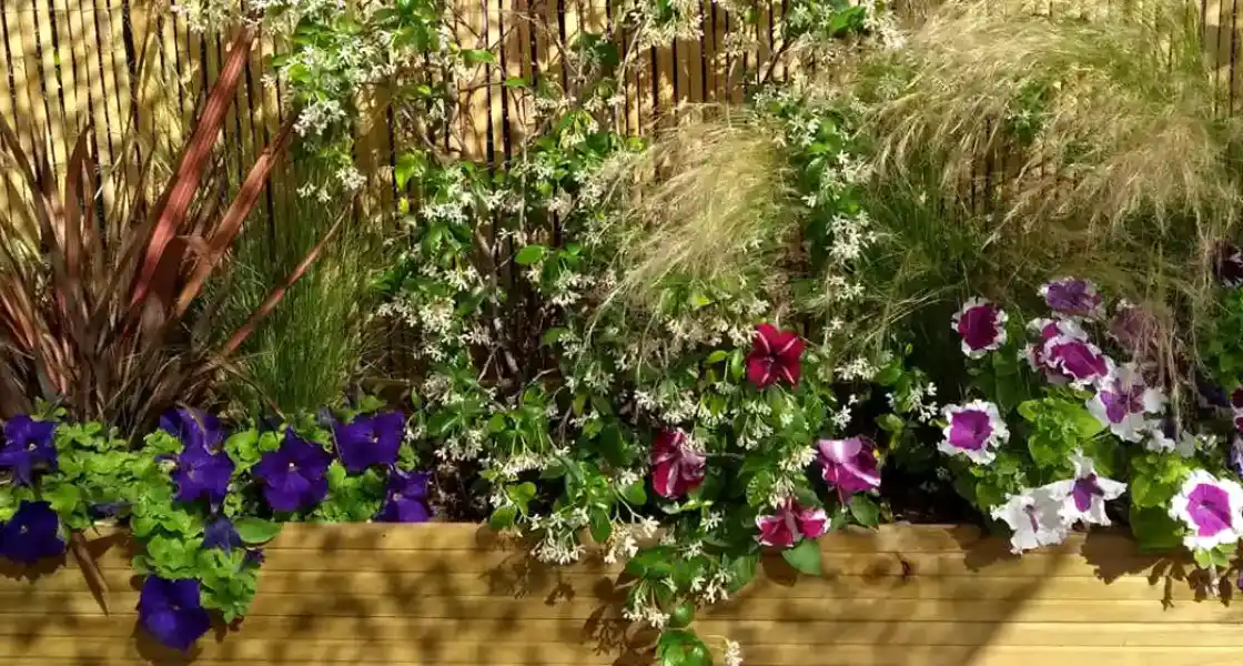 Jardineria en terrazas y balcones en Barcelona