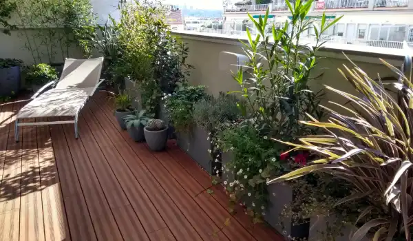 Jardineria en terrazas y balcones en Barcelona