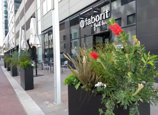 Jardineria para cafeterias y bares, y ofrecemos servicio de mantenimiento tambien
