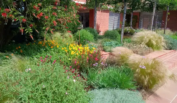 Mantenimiento de jardines en Barcelona, Sant Cugat, Valldoreix