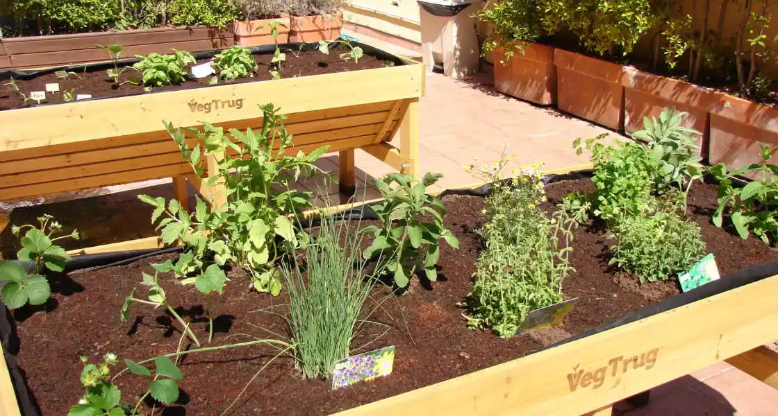 Instalación de Vegtrugs en Barcelona