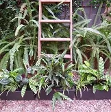 Jardineria terrazas hoteles barcelona