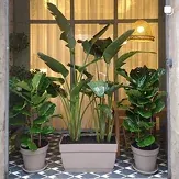 Plantas oficinas barcelona